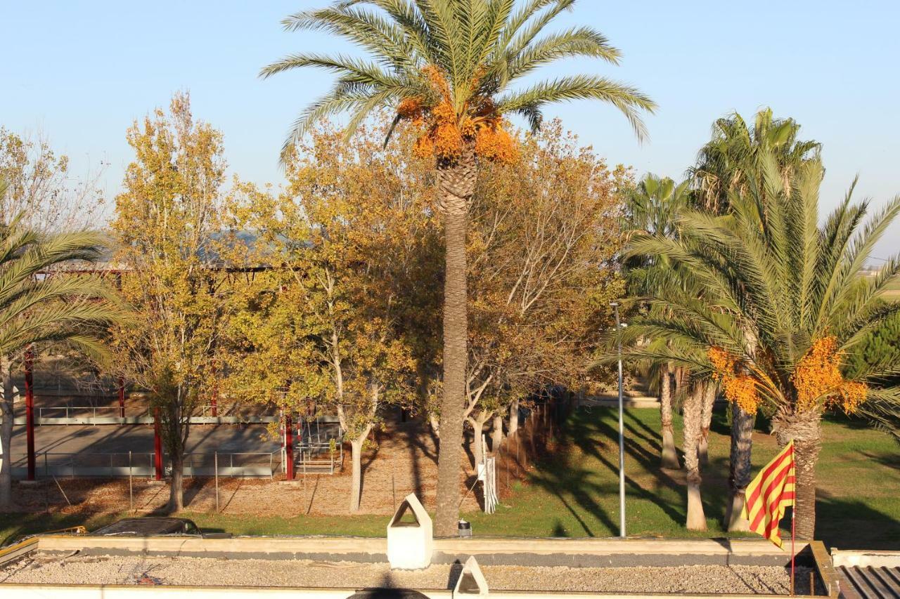 בית הארחה אל פובלה נואו דל דלתא 	Lo Segador מראה חיצוני תמונה